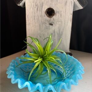 Fenton Blue Opalescent Hobnail Crimped Bon Bon Dish- Fenton Glassware